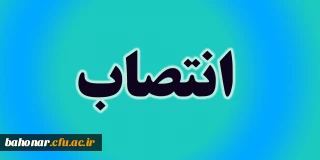 انتصاب شایسته