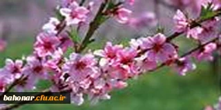 الهام از طبیعت