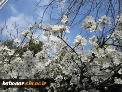 نوروز مبارک باد