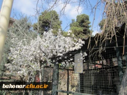 نوروز مبارک باد