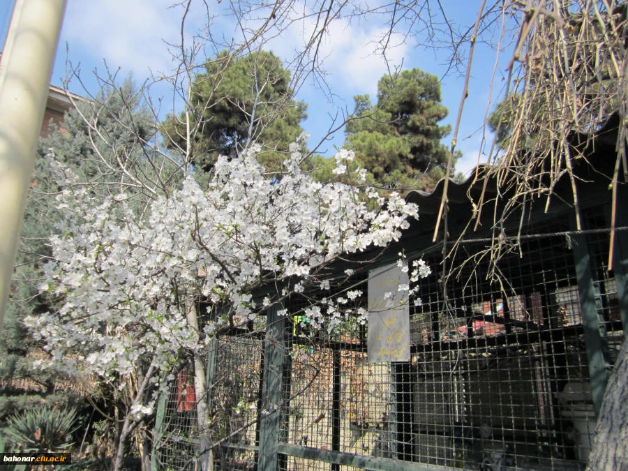 نوروز مبارک باد