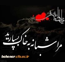 شهادت اسوه زنان عالم ، حضرت فاطمه الزهرا (س) تسلیت باد. 4