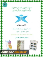 برگزاری سمینار کارورزی 1 و 3 ویژه اساتید محترم کارورزی گروه آموزش ابتدایی 2