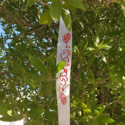 برگزاری جشن نیمه شعبان مرکز شهید باهنر  7