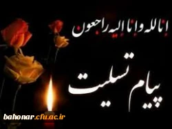 همکار گرامی سرکار خانم دکتر سلیمیان  2