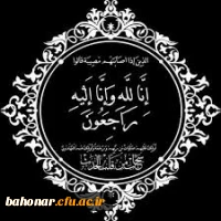 همکار گرامی سرکار خانم دکتر سلیمیان  3