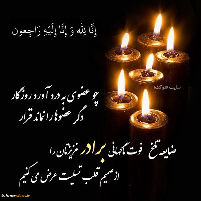 همکار گرامی سرکار خانم دکتر سلیمیان  4