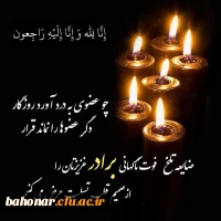 همکار گرامی سرکار خانم دکتر سلیمیان  4