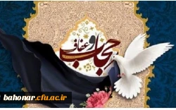 چادر بهترین نوع حجاب و نشانه ملی ماست  2