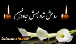 پیام تسلیت به مناسبت درگذشت همکار گرامی جناب آقای محسن کریمی
 2