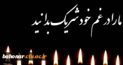 عرض تسلیت به همکار گرامی خانم دکتر فتحی مقدم 2