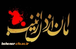 تمام زمین و زمان بر کربلا می گریند و تمام کربلا بر زینب (س) _ سالروز وفات اسوه ی صبر و استقامت، حضرت زینب کبری (س) تسلیت باد. 2