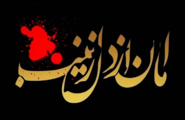 تمام زمین و زمان بر کربلا می گریند و تمام کربلا بر زینب (س) _ سالروز وفات اسوه ی صبر و استقامت، حضرت زینب کبری (س) تسلیت باد. 2