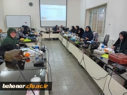 کارگاه و نشست تخصصی توانمندسازی اساتید کارورزی 2 3