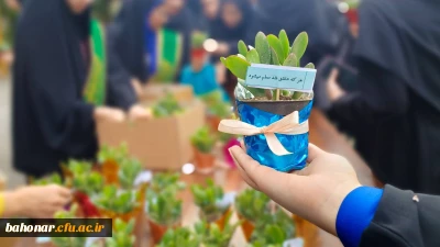 گزارش تصویری از بزرگداشت مقام معلم

یادبود شهادت استاد مرتضی مطهری و نکوداشت مقام معلم در مرکز آموزش عالی شهید باهنر