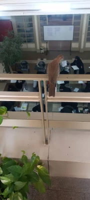 برگزای آزمون عملی رشته هنر دانشگاه فرهنگیان 1403 در مرکز آموزش عالی شهید باهنر 3