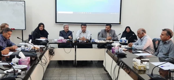 برگزاری جلسه کمیته علمی یازدهمین جشنواره تدریس برتر معلمان 4