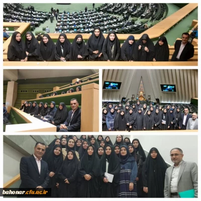 بازدید از صحن علنی مجلس شورای اسلامی