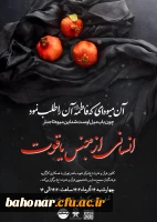 همایش انسانی از جنس یاقوت (به مناسبت شهادت حضرت زهرا سلام الله علیها) 8