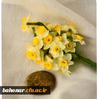 photo17047312964 (1)