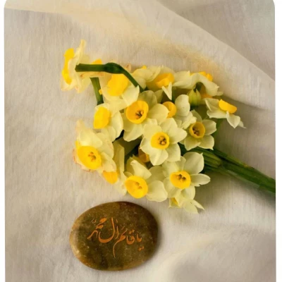 photo17047312964 (1)