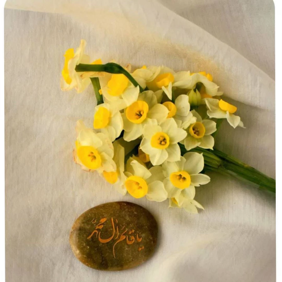 photo17047312964 (1)