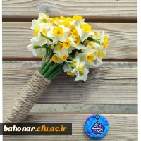 photo17047312987 (1)