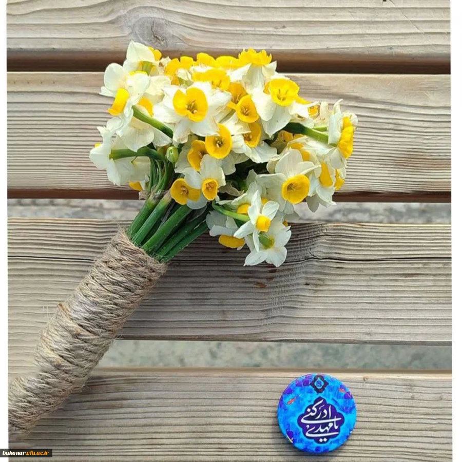 photo17047312987 (1)