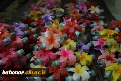 جشن ولادت میلاد حضرت معصومه (ص)
 2