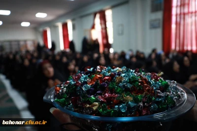 جشن ولادت میلاد حضرت معصومه (ص)
