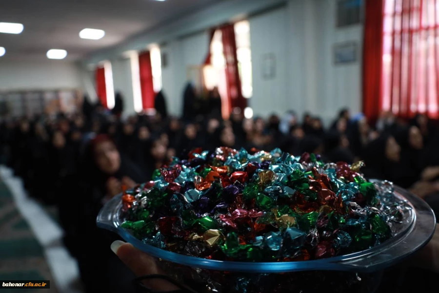 جشن ولادت میلاد حضرت معصومه (ص)
 3