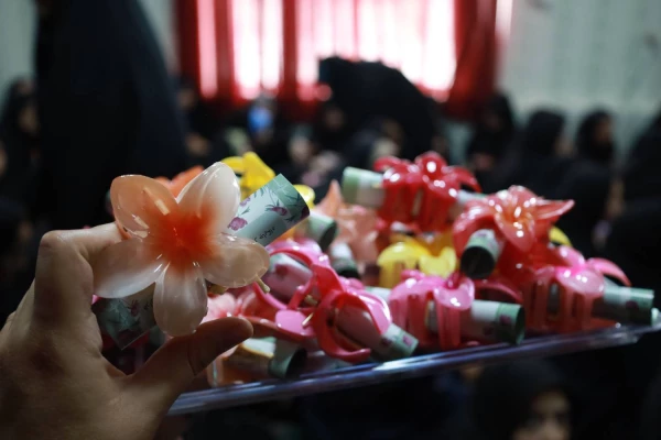 جشن ولادت میلاد حضرت معصومه (ص)
 6