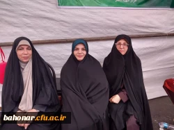 حضور مرکز آموزش عالی شهید باهنر در مسیر پیاده روی عید غدیر با برپایی غرفه فرهنگی 6